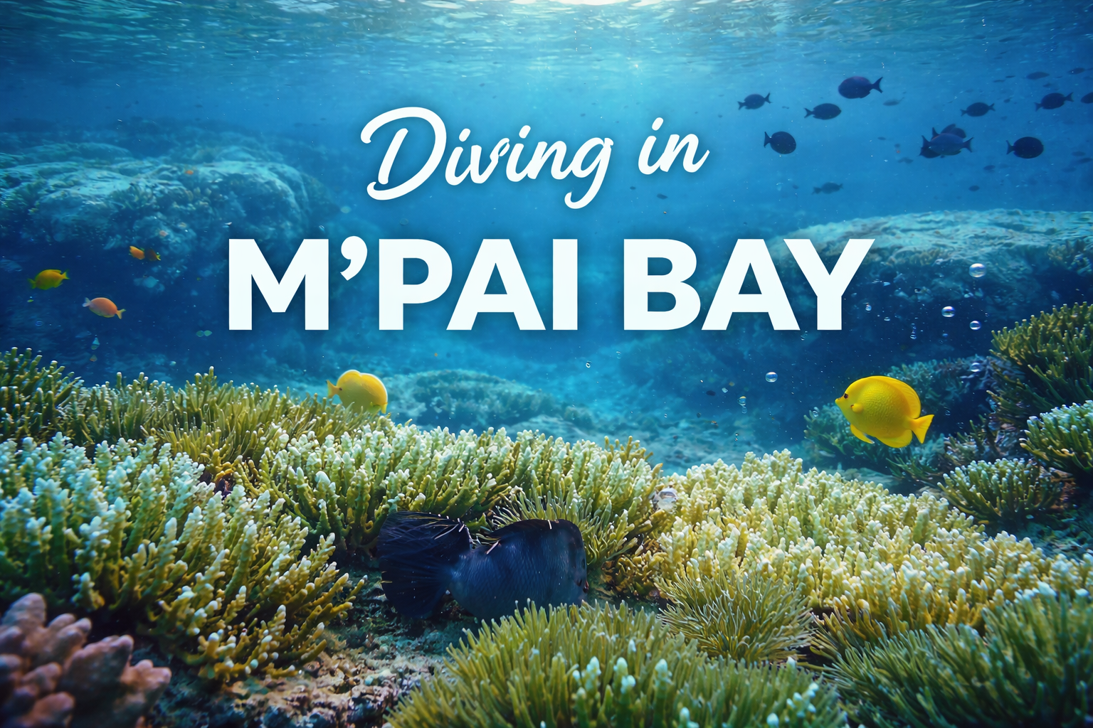 Discover the Hidden Diving Paradise of M’Pai Bay