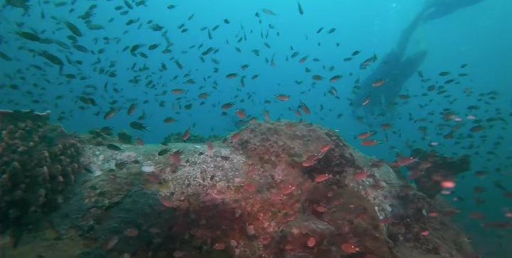 Diving   Kohrong Sanloem (4)