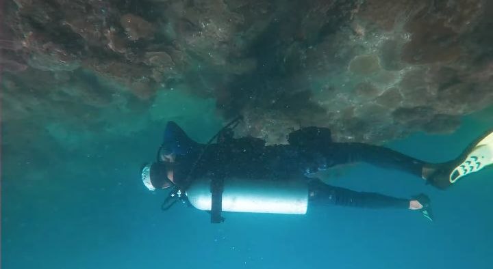 Diving   Kohrong Sanloem (29)