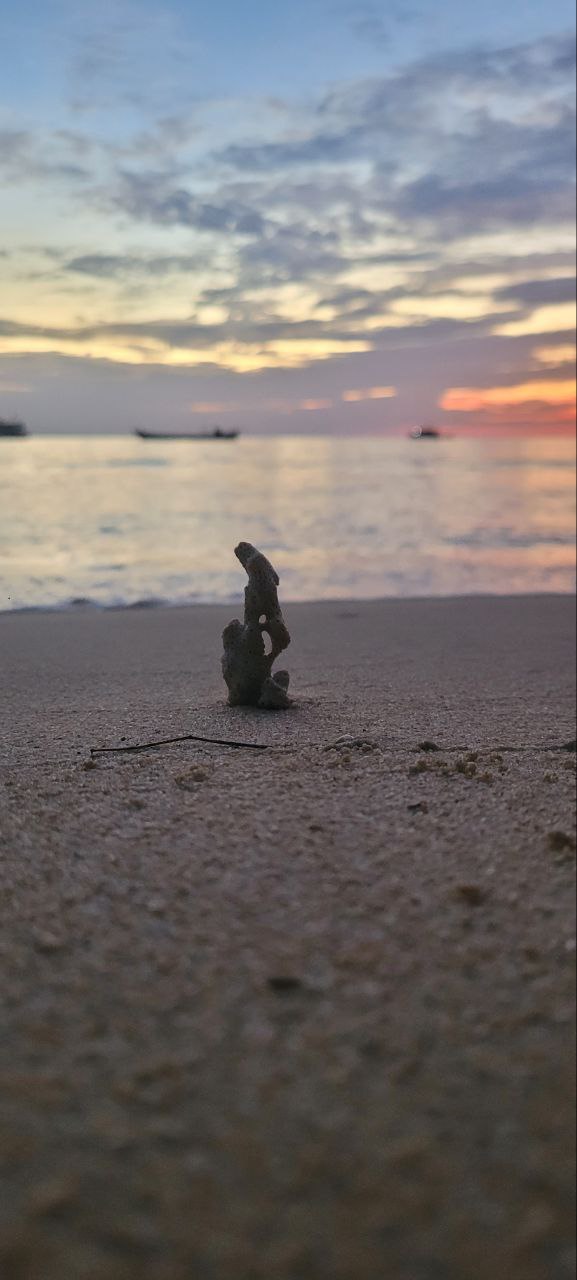 Weird Stone At Lazybeach