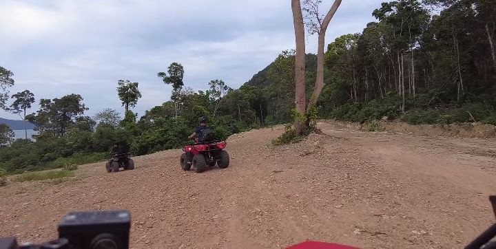 Quad Bike